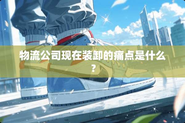 物流公司现在装卸的痛点是什么？