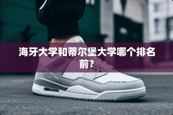 海牙大学和蒂尔堡大学哪个排名前？