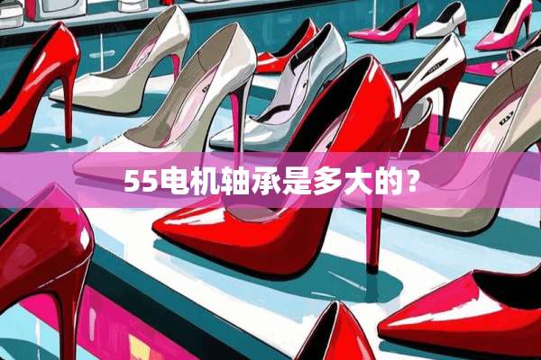 55电机轴承是多大的？