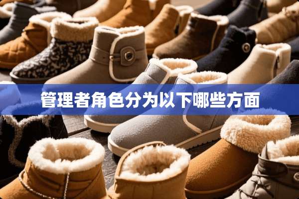 管理者角色分为以下哪些方面