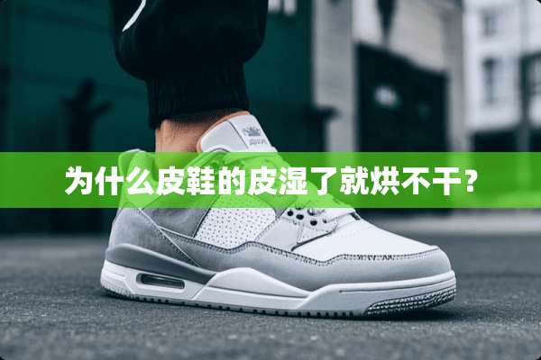 为什么皮鞋的皮湿了就烘不干？