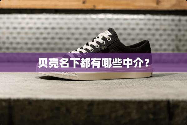 贝壳名下都有哪些中介？