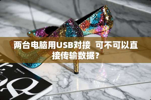 两台电脑用USB对接  可不可以直接传输数据？