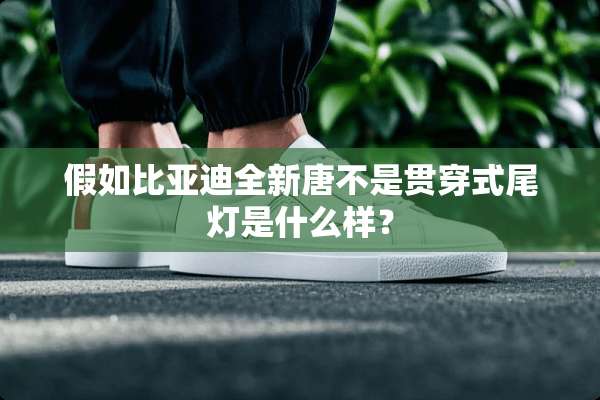 假如比亚迪全新唐不是贯穿式尾灯是什么样？