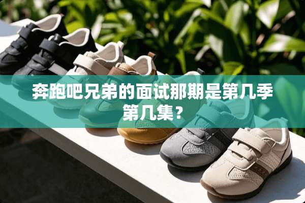 奔跑吧兄弟的面试那期是第几季第几集？