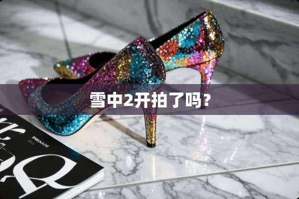 雪中2开拍了吗？