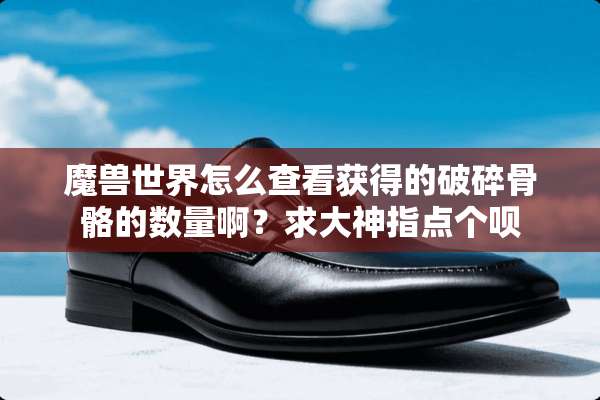 魔兽世界怎么查看获得的破碎骨骼的数量啊？求大神指点个呗