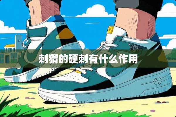 刺猬的硬刺有什么作用