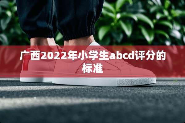 广西2022年小学生abcd评分的标准