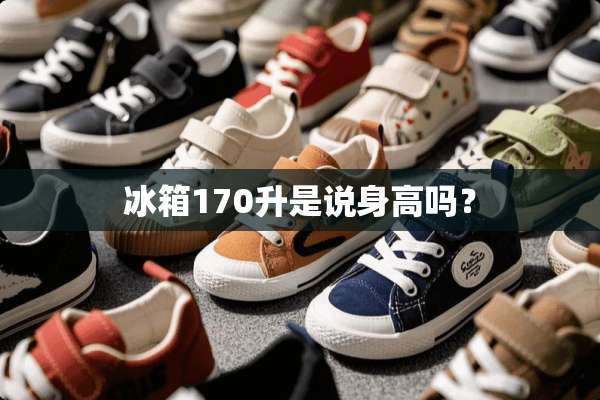 冰箱170升是说身高吗？