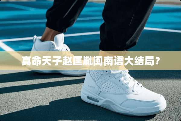 真命天子赵匡胤闽南语大结局？