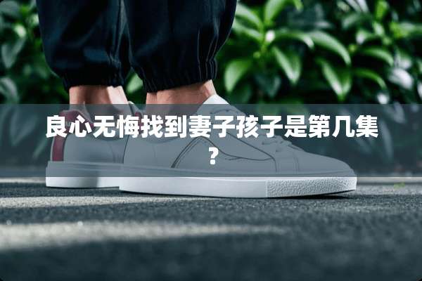良心无悔找到妻子孩子是第几集？