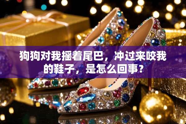 狗狗对我摇着尾巴，冲过来咬我的鞋子，是怎么回事？