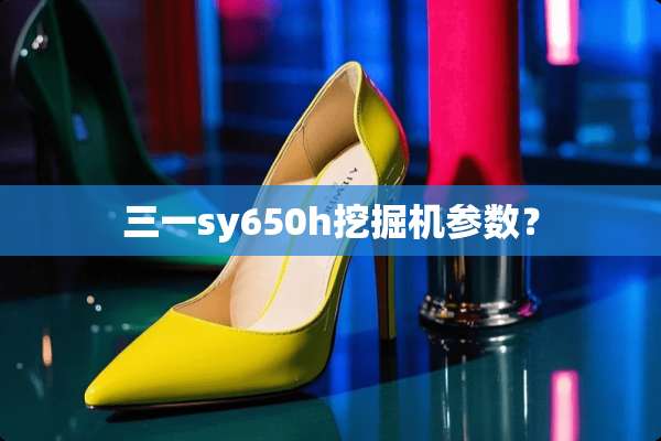 三一sy650h挖掘机参数？