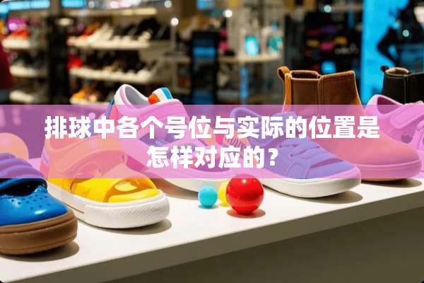 排球中各个号位与实际的位置是怎样对应的？
