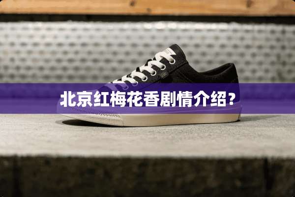 北京红梅花香剧情介绍？