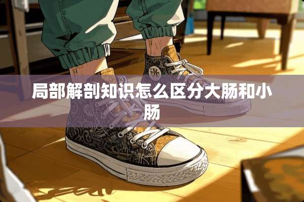 局部解剖知识怎么区分大肠和小肠