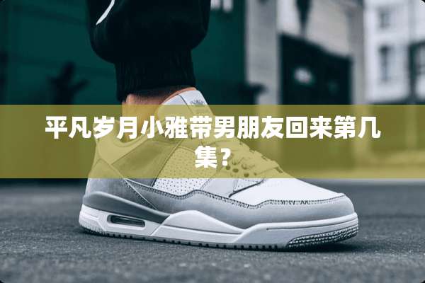 平凡岁月小雅带男朋友回来第几集？