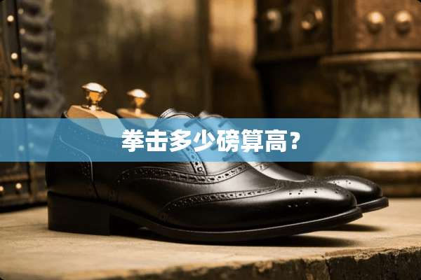 拳击多少磅算高？
