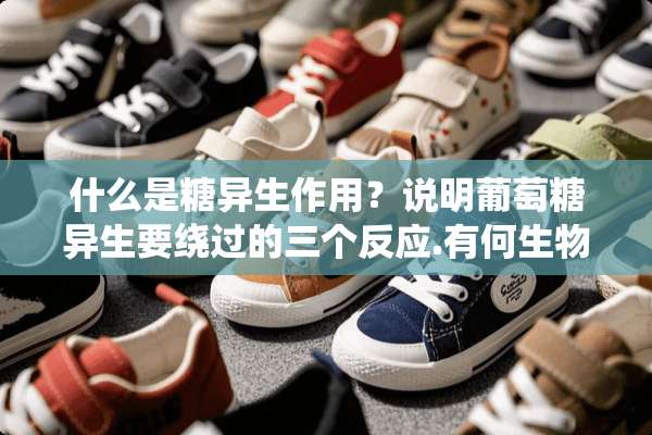 什么是糖异生作用？说明葡萄糖异生要绕过的三个反应.有何生物学意义