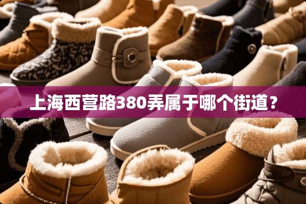 上海西营路380弄属于哪个街道？