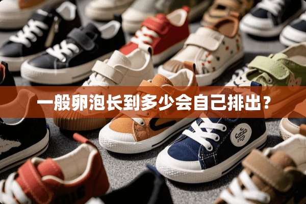 一般卵泡长到多少会自己排出？