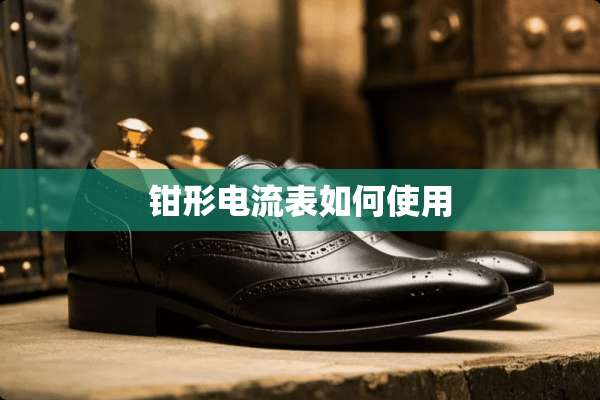 钳形电流表如何使用