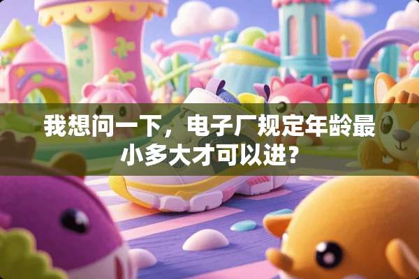 我想问一下，电子厂规定年龄最小多大才可以进？