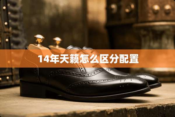 14年天籁怎么区分配置
