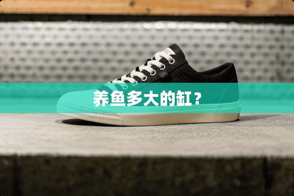 养鱼多大的缸？