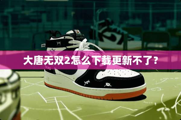 大唐无双2怎么下载更新不了？