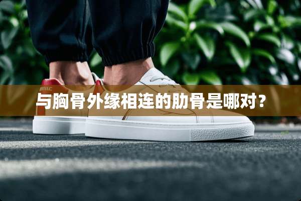 与胸骨外缘相连的肋骨是哪对？