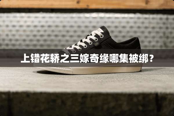 上错花轿之三嫁奇缘哪集被绑？