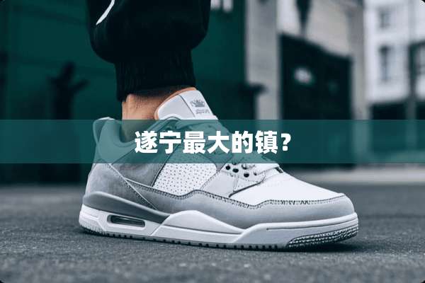 遂宁最大的镇？