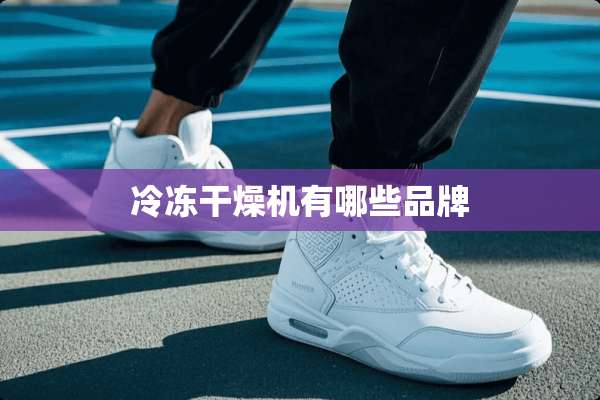 冷冻干燥机有哪些品牌