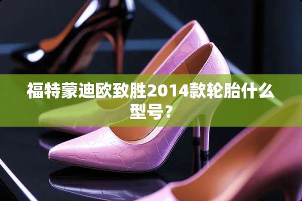 福特蒙迪欧致胜2014款轮胎什么型号？