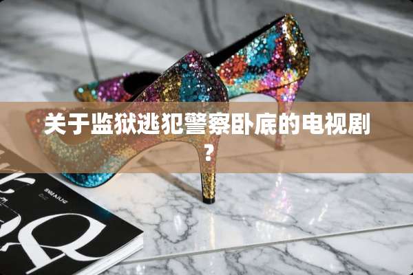 关于监狱逃犯****的电视剧？
