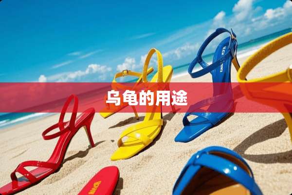 乌龟的用途