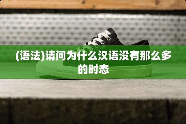 (语法)请问为什么汉语没有那么多的时态
