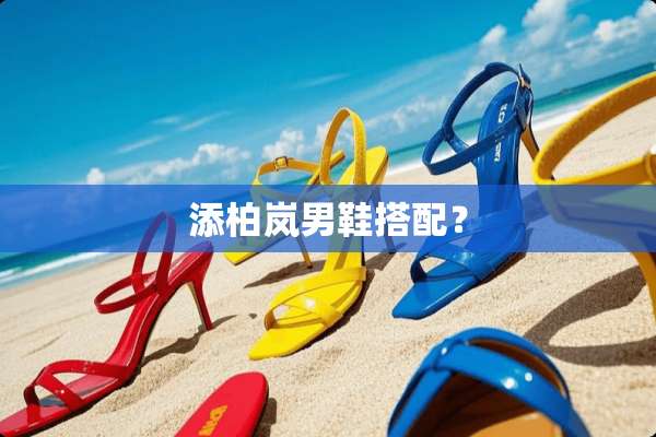 添柏岚男鞋搭配？