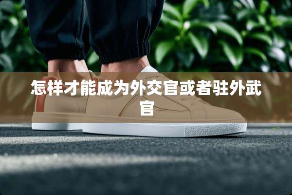 怎样才能成为外交官或者驻外武官
