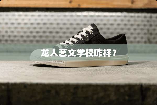 龙人艺文学校咋样？