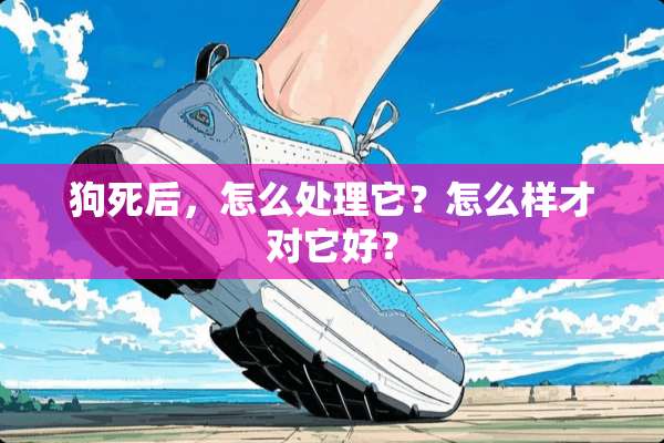 狗死后，怎么处理它？怎么样才对它好？