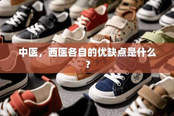 中医，西医各自的优缺点是什么？