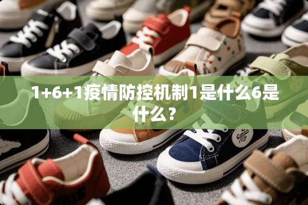 1+6+1疫情防控机制1是什么6是什么？