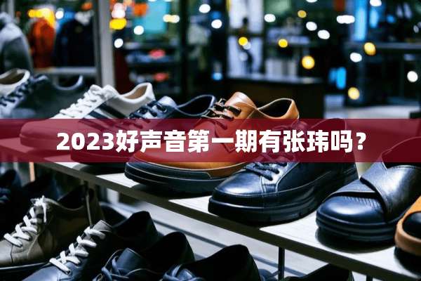 2023好声音第一期有张玮吗？