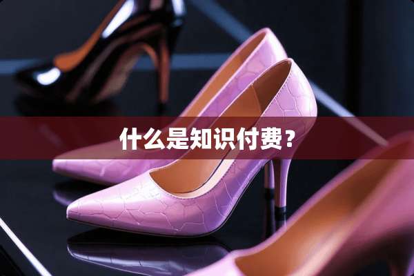 什么是知识付费？