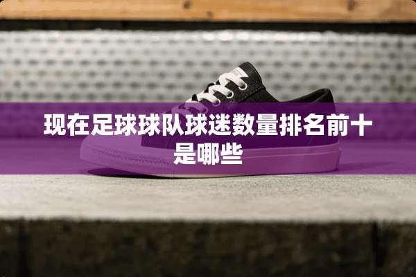 现在**球队球迷数量排名前十是哪些