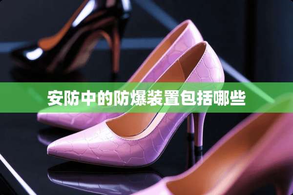 安防中的防爆装置包括哪些