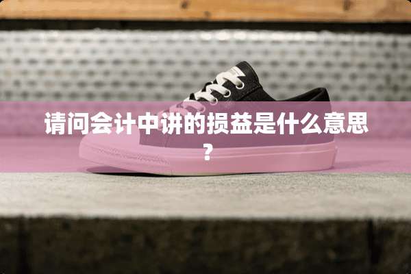 请问会计中讲的损益是什么意思？